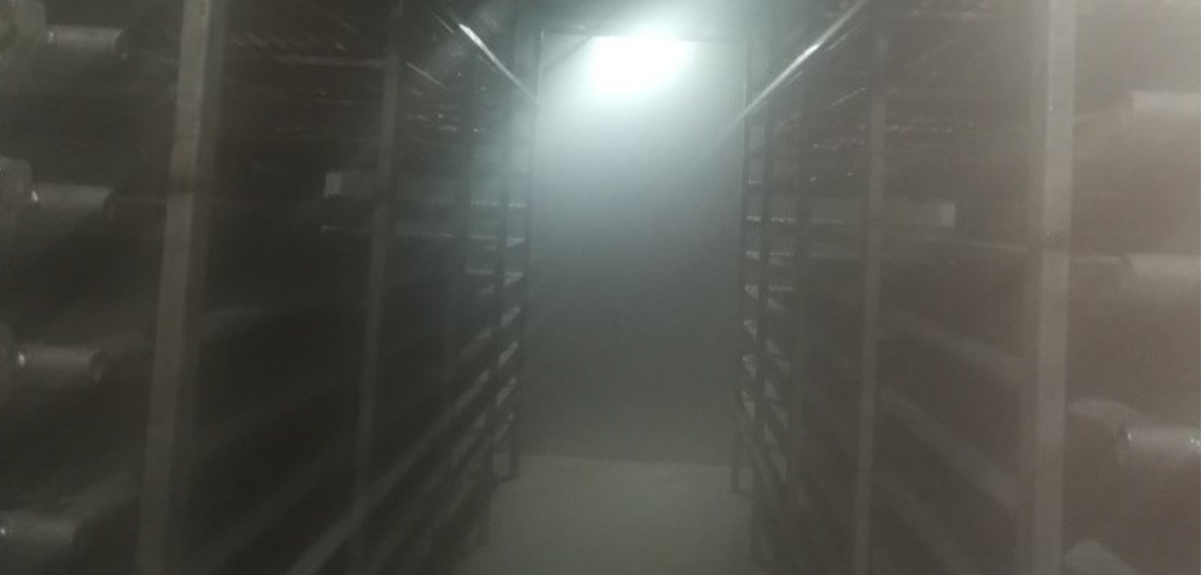 速冻加工应用-水产加工速冻隧道-菲彩国际