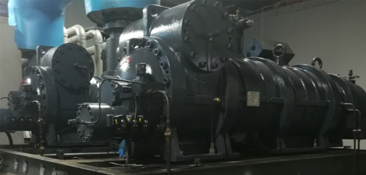 速冻加工应用-水产加工速冻隧道-菲彩国际