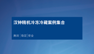菲彩国际