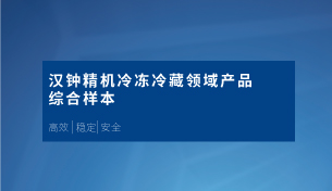 菲彩国际