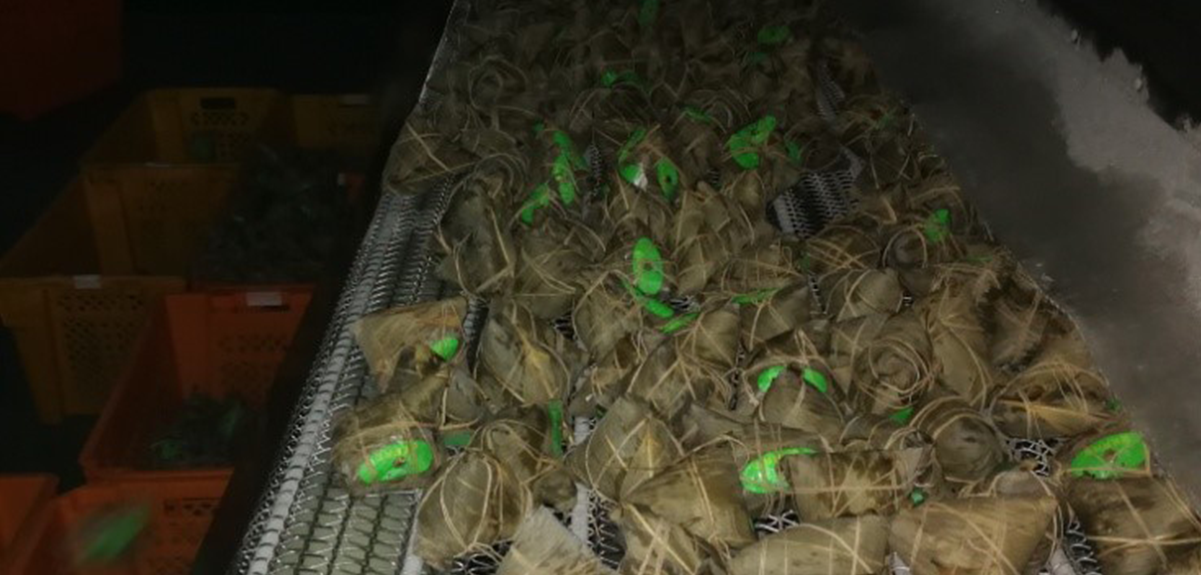 Quick frozen processing application- fast frozen tunnel for rice dumplings-菲彩国际