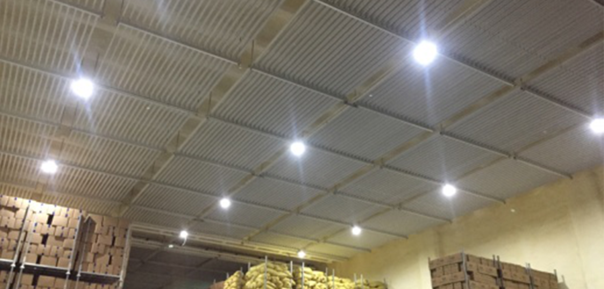 Low temperature refrigeration application - cold storage in food factory-菲彩国际