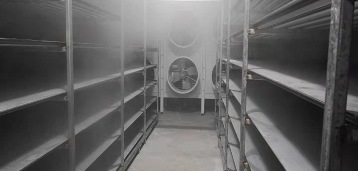 速冻加工应用-肉类速冻-菲彩国际