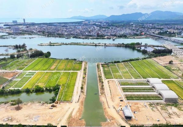 耐盐碱水稻科研试验基地建设解决规划