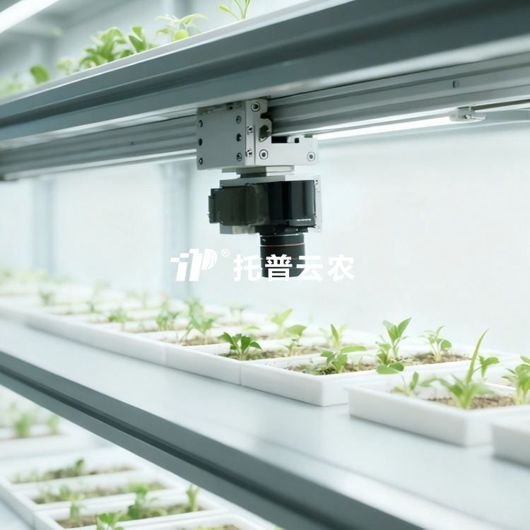 室内种子萌颁发型监测系统 TP-SeedPhy