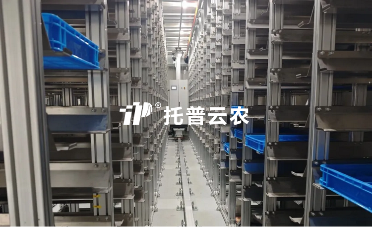种质资源库建设规划（2026年最新）