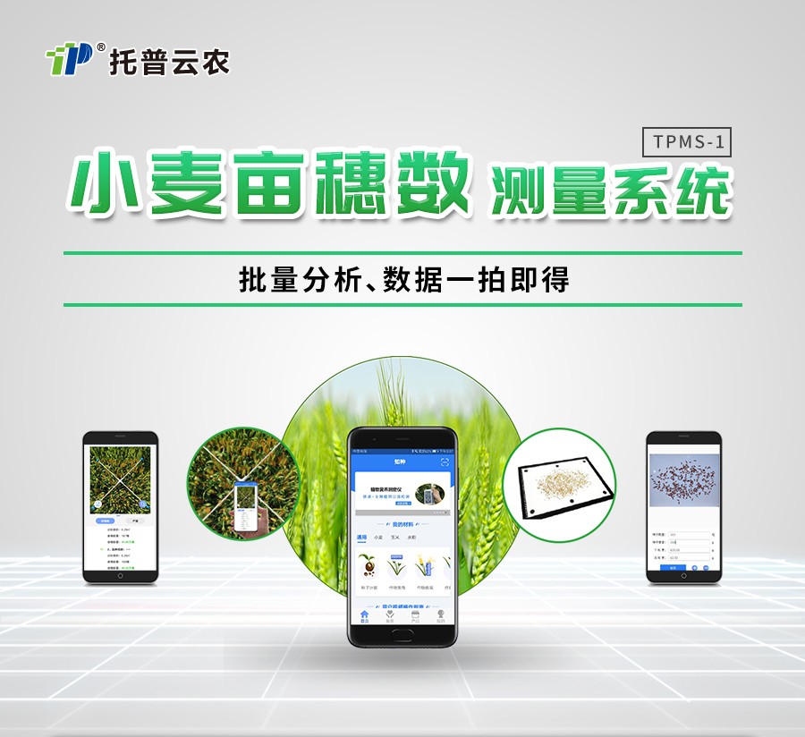 幼麦亩穗数丈量仪 幼麦亩穗数丈量仪