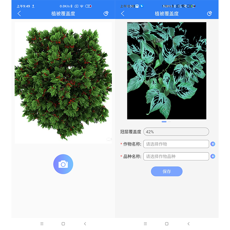 丛林覆盖度.png