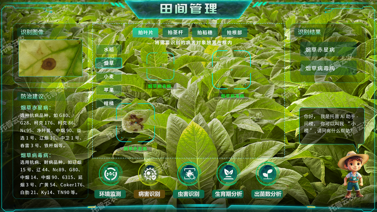 4.png